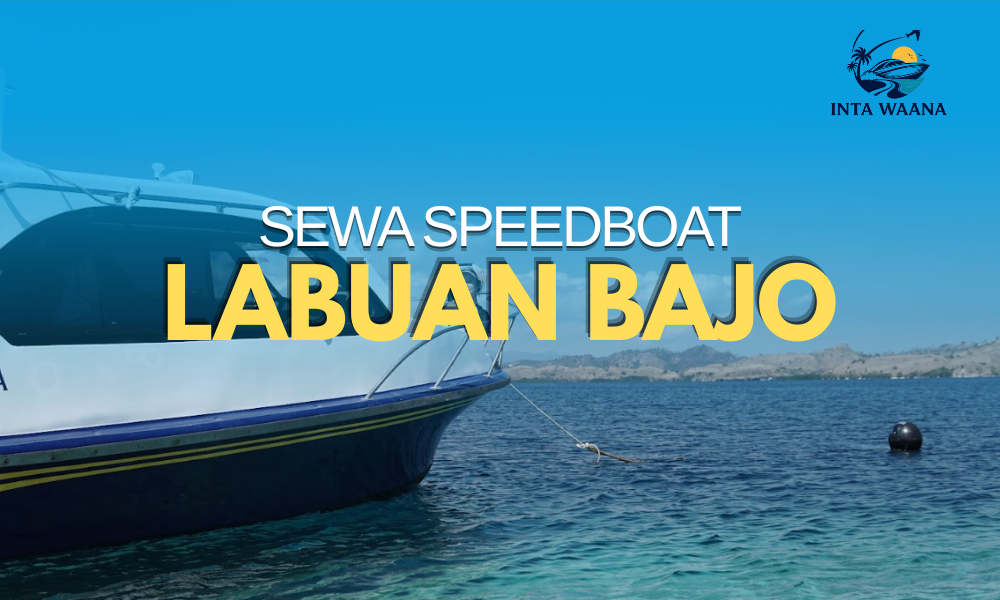 SEWA SPEEDBOAT LABUAN BAJO