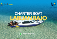 charter boat labuan bajo charter boat labuan bajo