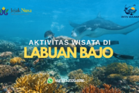 aktivitas di labuan bajo aktivitas di labuan bajo